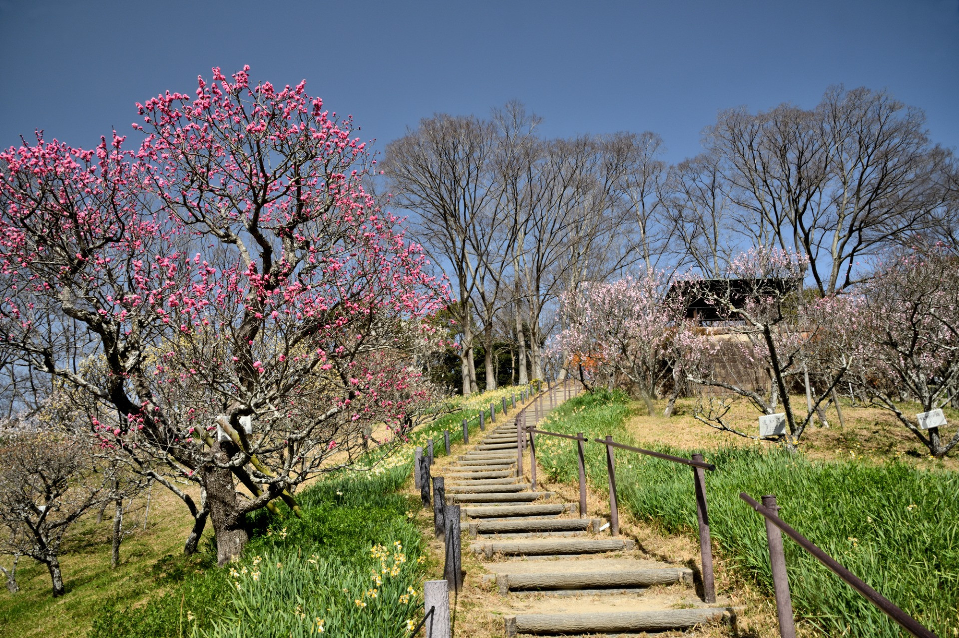 錦織公園